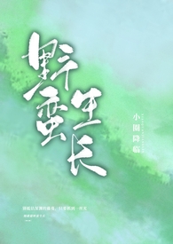 燕麦色垂感裤女显瘦