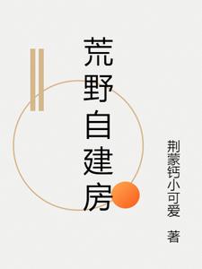荒野自制盐