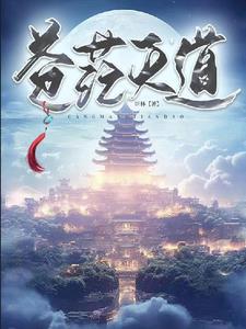 苍茫天涯路女声版